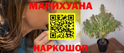 спайс Малгобек