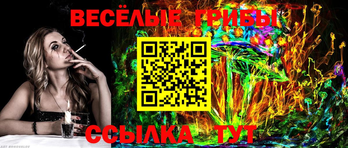 Галлюциногенные грибы Cubensis Владикавказ